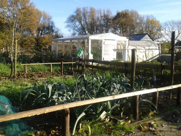 volkstuinen Ijsselstein