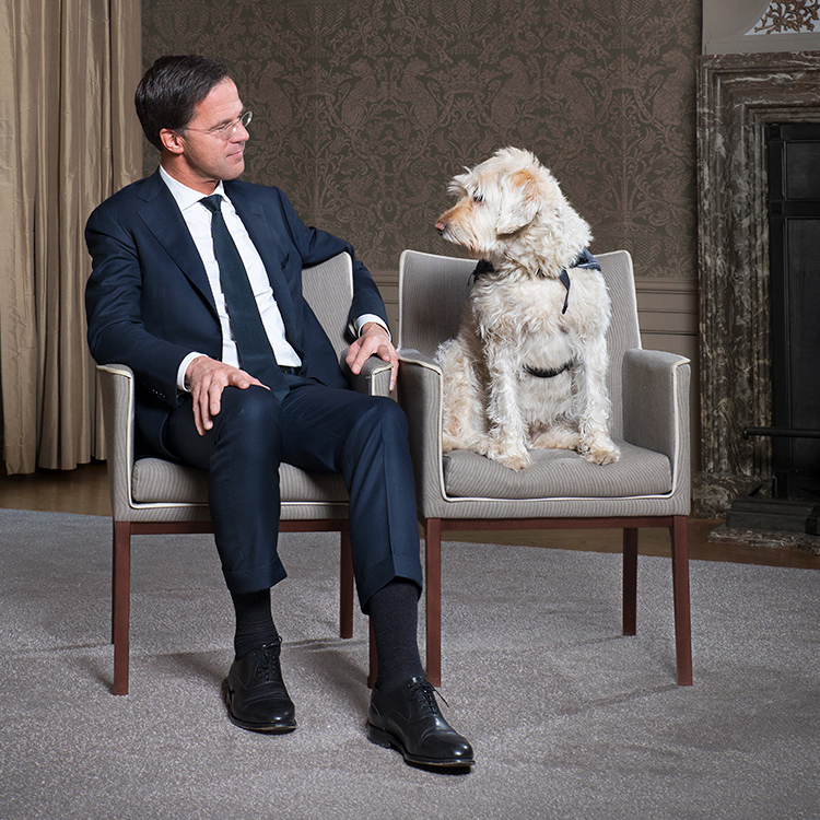 Brief aan Mark&nbsp;Rutte